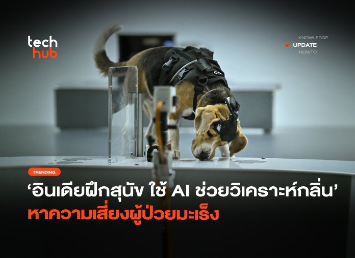 อินเดียฝึกสุนัข ใช้ AI ช่วยวิเคราะห์กลิ่น หาความเสี่ยงผู้ป่วยมะเร็ง-26