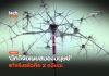 สแตนฟอร์ดเผย สมองมนุษย์ 2 มีอวัยวะ จุดเปลี่ยนรักษาโรคระบบประสาท สมองมนุษย์ 2 มีอวัยวะ